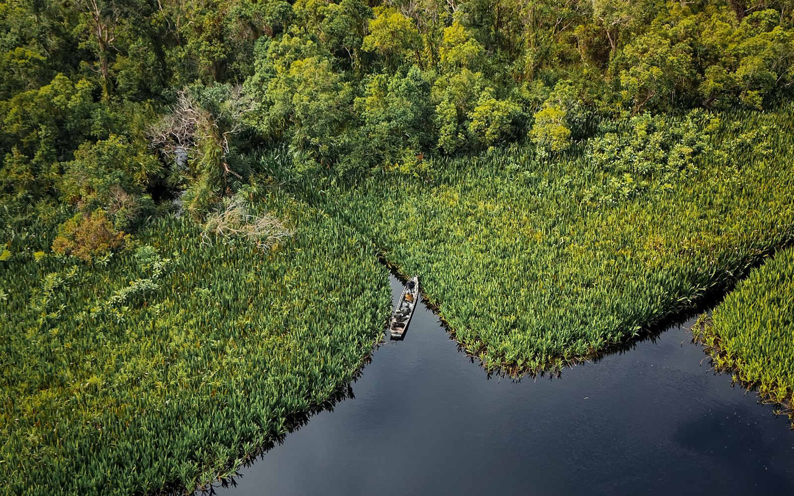 Vista aérea de un caño que serpentea entre la vegetación densa de la llanura amazónica, con una canoa navegando.