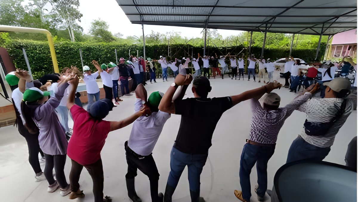 Un grupo forma un círculo tomado de las manos, con los brazos en alto, durante una actividad al aire libre.