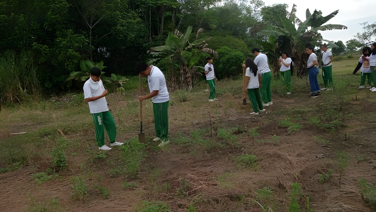 Estudiantes con uniforme siembran árboles en un terreno abierto junto al monte.