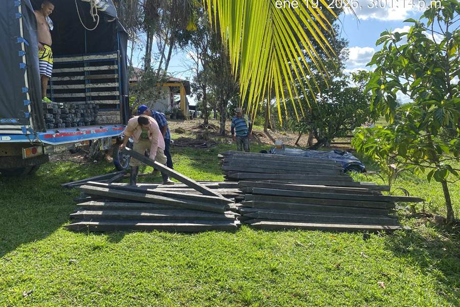 Varias personas descargando estantillos de un camión en una finca.