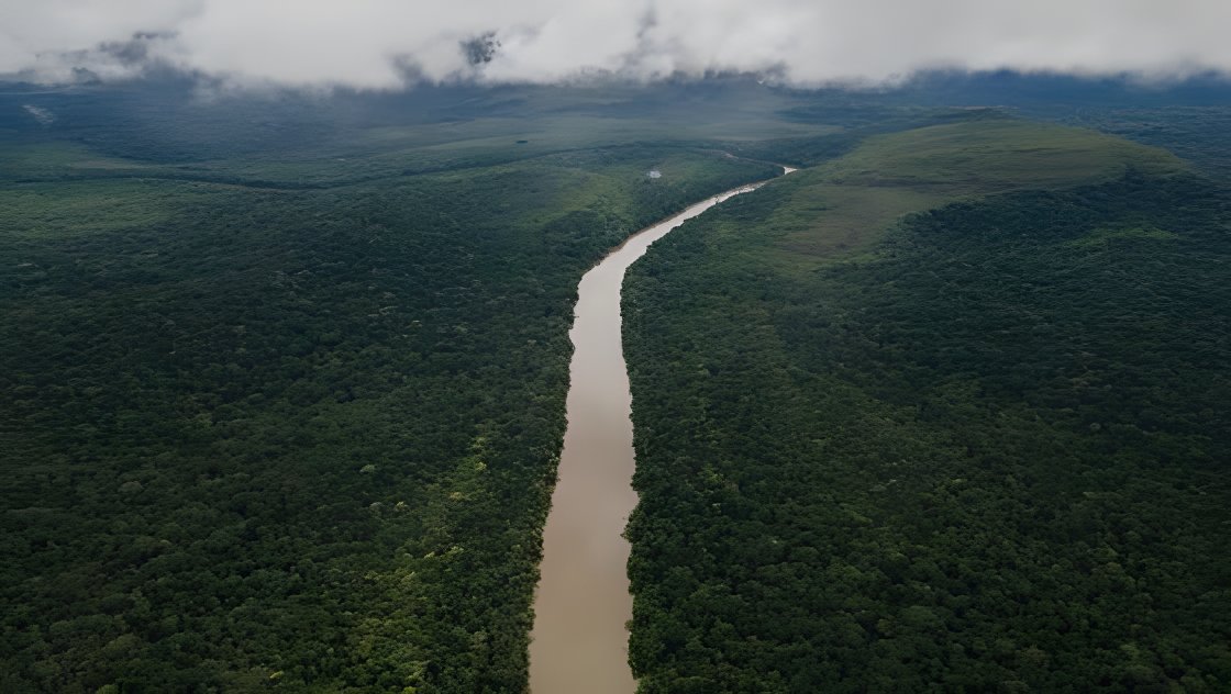 Vista aérea de un río que atraviesa la selva amazónica bajo un cielo nublado.